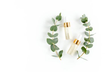 Okaliptüs yağı, okaliptüs yaprakları beyaz arka planda. Doğal, organik kozmetik ürünleri. Tıbbi, Doğal Serumlar. Düz yatış, üst görünüm.