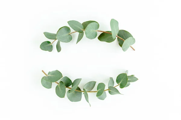 Wreath frame made of branches eucalyptus and leaves isolated on white background. lay flat, top view — Stock Photo, Image