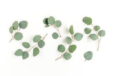 Beyaz arkaplanda yeşil yapraklar izole edilmiş.