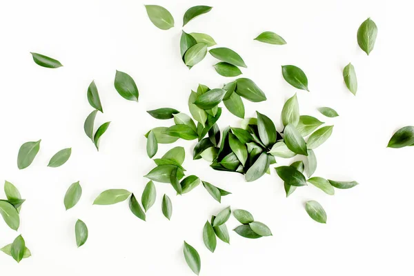 Pattern, texture with green leaves isolated on white background. lay flat, top view