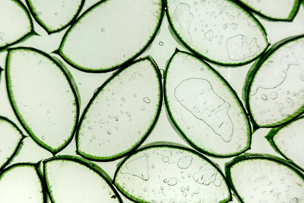 Fondo de textura de rebanada de aloe vera. Planta medicinal. Se utiliza para tratar y hacer una crema. Acostado. Vista superior. — Foto de Stock