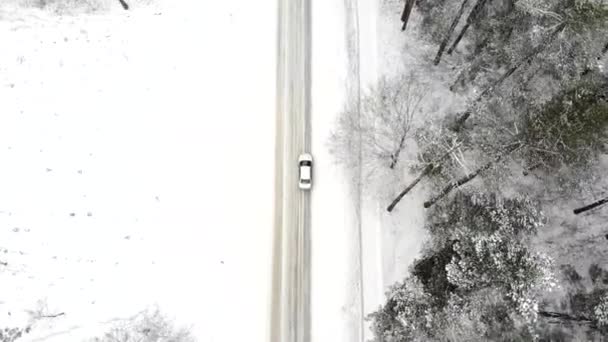 Coche en una carretera de invierno en el bosque, vista superior — Vídeo de stock