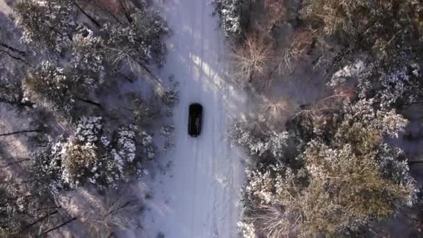 Classica auto grigia guida attraverso la foresta bianca invernale innevata sulla strada di campagna. Vista dall'alto. Strada invernale o alpina in montagna con alberi innevati dalla vista aerea. — Video Stock