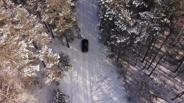 Klasyczny szary samochód przejeżdżający przez biały zimowy śnieżny las na wiejskiej drodze. Widok góry. Zimowa lub alpejska droga w górach z pokrytymi śniegiem drzewami z lotu ptaka. — Wideo stockowe