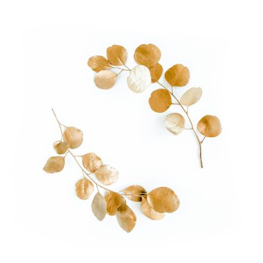Altın dallardan yapılmış altın yuvarlak çerçeve okaliptüs ve beyaz arka planda izole edilmiş yapraklar. Düz uzan, üst görünüm
