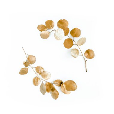 Altın dallardan yapılmış altın yuvarlak çerçeve okaliptüs ve beyaz arka planda izole edilmiş yapraklar. Düz uzan, üst görünüm