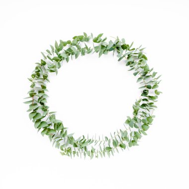 Beyaz arka planda izole edilmiş okaliptüs dallarından yapılmış çelenk çerçevesi. Düz uzan, üst görünüm