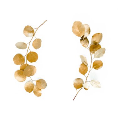 Altın dallardan yapılmış altın yuvarlak çerçeve okaliptüs ve beyaz arka planda izole edilmiş yapraklar. Düz uzan, üst görünüm