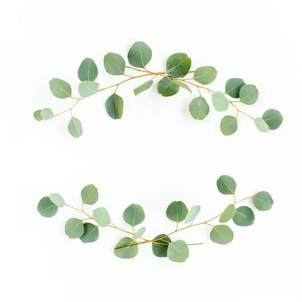Châssis en couronne composé de branches d'eucalyptus et de feuilles isolées sur fond blanc. poser à plat, vue de dessus — Photo