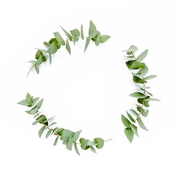 Wreath frame made of branches eucalyptus isolated on white background. lay flat, top view — Stock Photo, Image