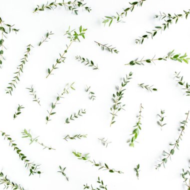 Doku, beyaz arkaplandaki okaliptüsten yapılmış bir kalıp. Düz yatış, üst görünüm.