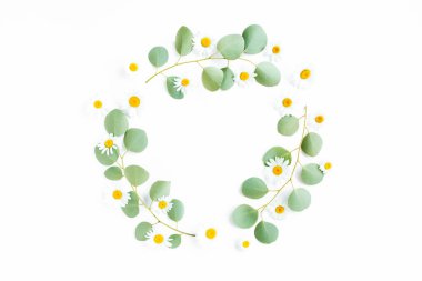 Dallardan yapılmış yuvarlak çelenk çerçevesi okaliptüs populus ve beyaz arka planda izole papatya çiçekleri. Düz uzan, üst görünüm