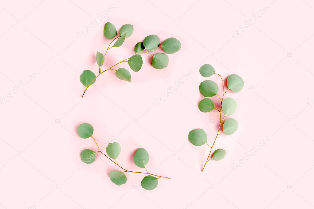 Round wreath frame made of branches eucalyptus populus isolated on pink background. lay flat, top view