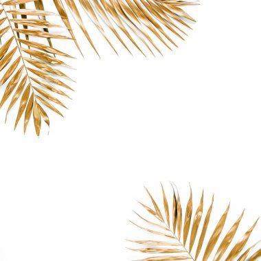 Beyaz arka planda altın tropik palmiye yaprakları. Düz konum, üst görünüm minimum konsept.