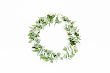 Beyaz arka planda izole edilmiş okaliptüs dallarından yapılmış çelenk çerçevesi. Düz uzan, üst görünüm