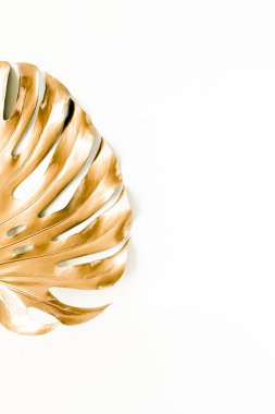 Altın tropikal palmiye beyaz arka planda Canavar bırakır. Düz konum, üst görünüm minimum konsept.