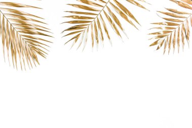 Beyaz arka planda altın tropik palmiye yaprakları. Düz konum, üst görünüm minimum konsept.