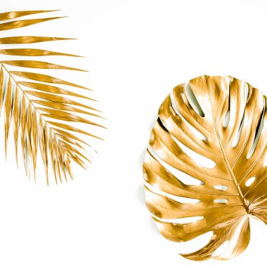 Altın tropikal palmiye beyaz arka planda Canavar bırakır. Düz konum, üst görünüm minimum konsept.