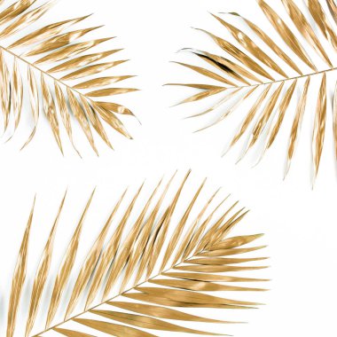 Beyaz arka planda altın tropik palmiye yaprakları. Düz konum, üst görünüm minimum konsept.