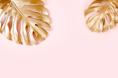 Altın tropikal palmiye pembe arka planda Canavar bırakır. Düz konum, üst görünüm minimum konsept.