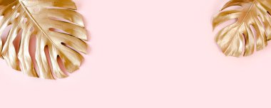 Altın tropikal palmiye pembe arka planda Canavar bırakır. Düz konum, üst görünüm minimum konsept.