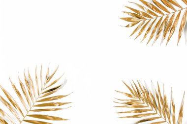 Beyaz arka planda altın tropik palmiye yaprakları. Düz konum, üst görünüm minimum konsept.