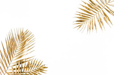 Beyaz arka planda altın tropik palmiye yaprakları. Düz konum, üst görünüm minimum konsept.