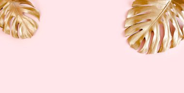 Altın tropikal palmiye pembe arka planda Canavar bırakır. Düz konum, üst görünüm minimum konsept.