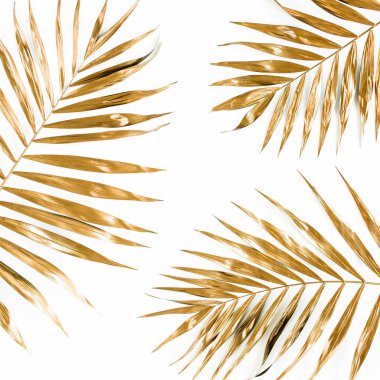 Beyaz arka planda altın tropik palmiye yaprakları. Düz konum, üst görünüm minimum konsept.