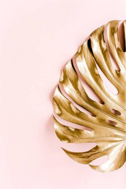 Altın tropikal palmiye pembe arka planda Canavar bırakır. Düz konum, üst görünüm minimum konsept.