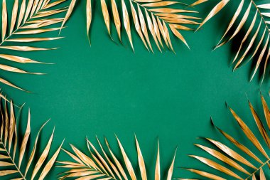 Altın tropikal palmiye yeşil arka planda Canavar bırakır. Düz konum, üst görünüm minimum konsept.
