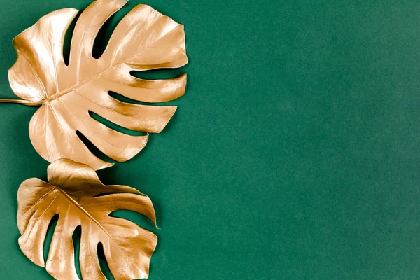 Altın tropikal palmiye yeşil arka planda Canavar bırakır. Düz konum, üst görünüm minimum konsept.