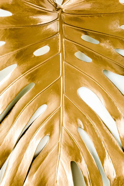 Gouden tropische palm bladeren Monstera op witte achtergrond. Vlakke lay, bovenaanzicht minimaal concept. — Stockfoto