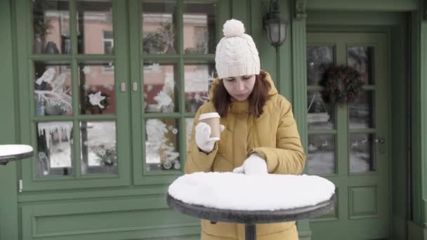 Portret van een mooie vrouw, ze is op straat. Hij drinkt warme koffie uit een glas. Het model staat in het park in de winter. — Stockvideo