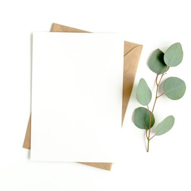 Sahte davetiye, boş tebrik kartı ve yeşil yapraklar okaliptüs. Düz yatış, üst görünüm.