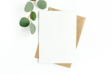 Sahte davetiye, boş tebrik kartı ve yeşil yapraklar okaliptüs. Düz yatış, üst görünüm.