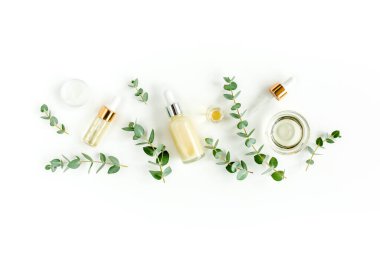 Okaliptüs yağı, okaliptüs yaprakları beyaz arka planda. Doğal, organik kozmetik ürünleri. Tıbbi, Doğal Serumlar. Düz yatış, üst görünüm.