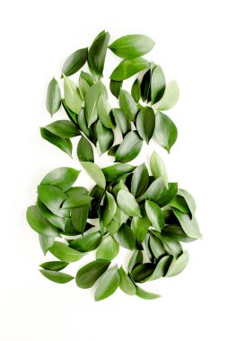 Beyaz arka planda yeşil yapraklı desen, doku. Düz uzan, üst görünüm