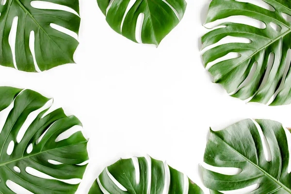 Tropische Palmenblätter Monstera auf weißem Hintergrund. Flache Lage, Draufsicht. — Stockfoto