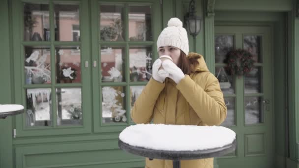 Retrato de una mujer hermosa, ella está en la calle. Bebe café caliente de un vaso. El modelo se encuentra en el parque en invierno. — Vídeos de Stock