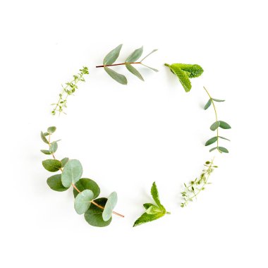 Otlardan, yeşil dallardan, nane yapraklarından, okaliptüs, kekik ve bitki koleksiyonundan oluşan yuvarlak çelenk çerçevesi beyaz arka planda. Düz yatıyordu. Üst görünüm.