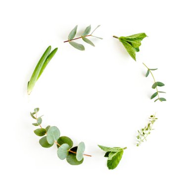 Otlardan, yeşil dallardan, nane yaprağından, aloe Vera 'dan, okaliptüsten, kekik ve bitki koleksiyonundan oluşan yuvarlak çelenk çerçevesi beyaz arka planda. Düz yatıyordu
