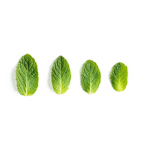 Foglie di menta isolate su fondo bianco. Set di menta piperita. Schema della menta. Piatto. Vista dall'alto. — Foto Stock