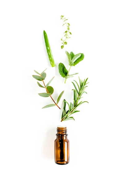 Eterisk olja och blandning av örter, gröna grenar, blad eukalyptus, aloe Vera, rosmarin, timjan på vit bakgrund. Ett platt ligg. Ovanifrån. — Stockfoto