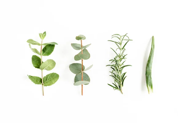 Mix di erbe, rami verdi, foglie di menta, eucalipto, rosmarino e piante raccolta su sfondo bianco. Set di erbe medicinali. Piatto. Vista dall'alto. — Foto Stock