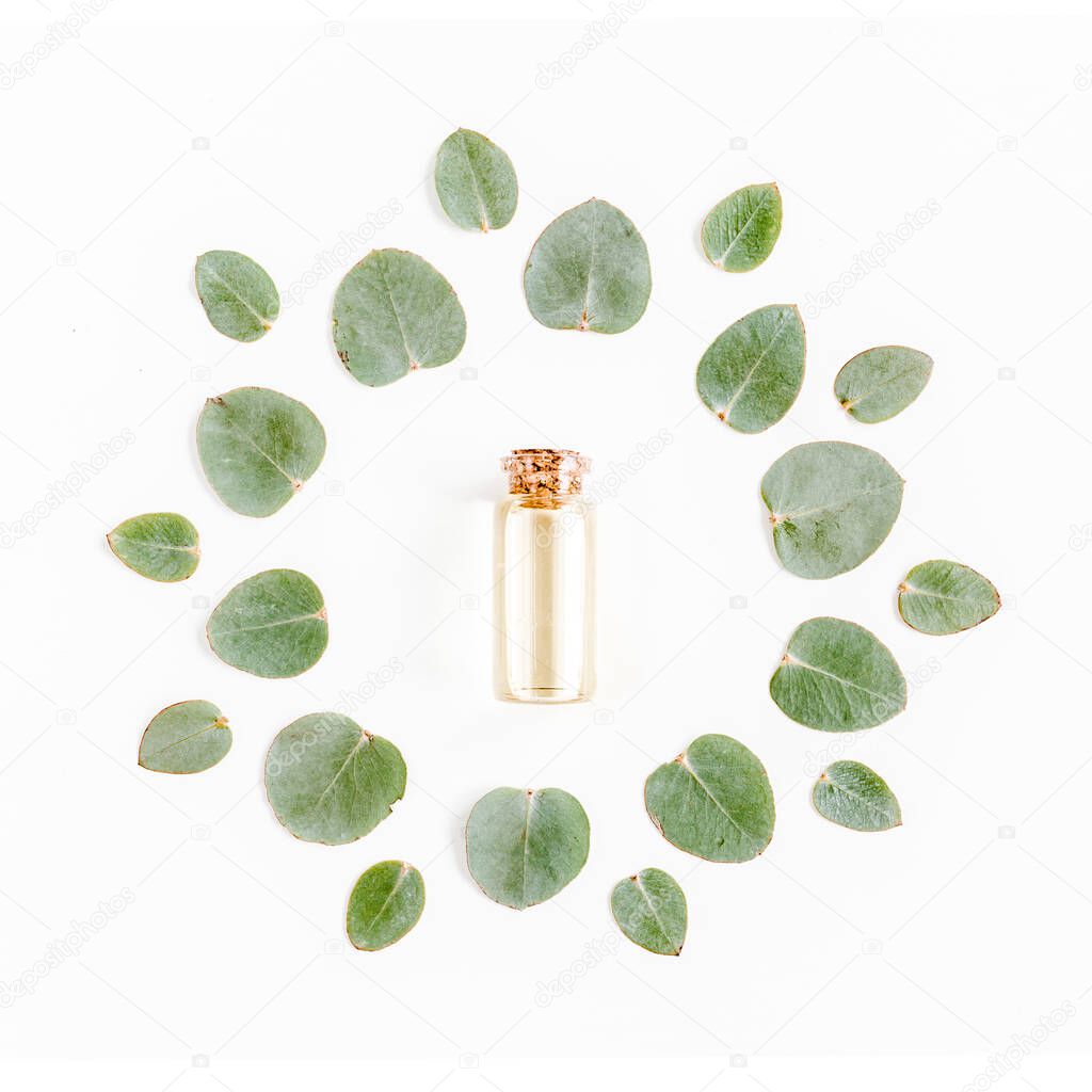 Abstract composition. Round wreath frame made of leaf eucalyptus in the middle of an essential oil isolated on white background. lay flat, top view