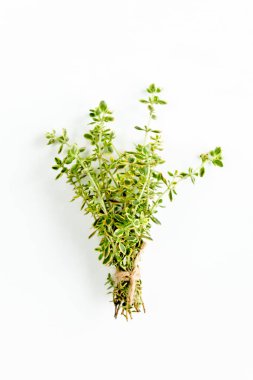 Beyaz arka planda yeşil kekik demeti izole edilmiş. Bitkiler. Düz yatıyordu. Üst görünüm