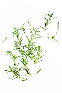 Yeşil dal ve biberiye yaprakları beyaz arka planda izole edilmiş. Bitkiler. Düz yatıyordu. Üst görünüm