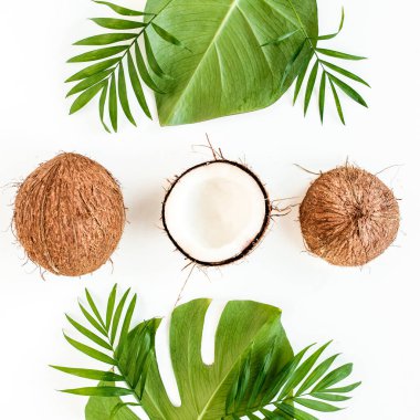 Beyaz arka planda, hindistan cevizi ve tropikal palmiye yapraklarıyla çerçevelenmiş desen. Tropik soyut arka plan. Düz yatış, üst görünüm.