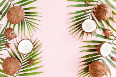 Kalıp, çerçeve kenarları, hindistan cevizi ve pembe arka planda tropik palmiye yaprakları. Tropik soyut arka plan. Düz yatış, üst görünüm.